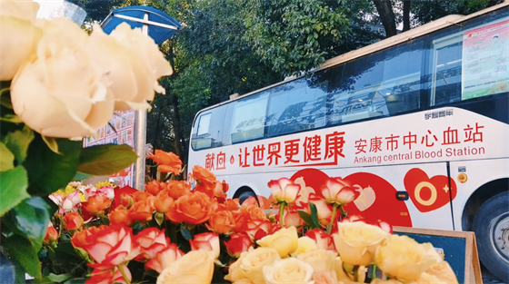 安康這三兄妹，熱血！