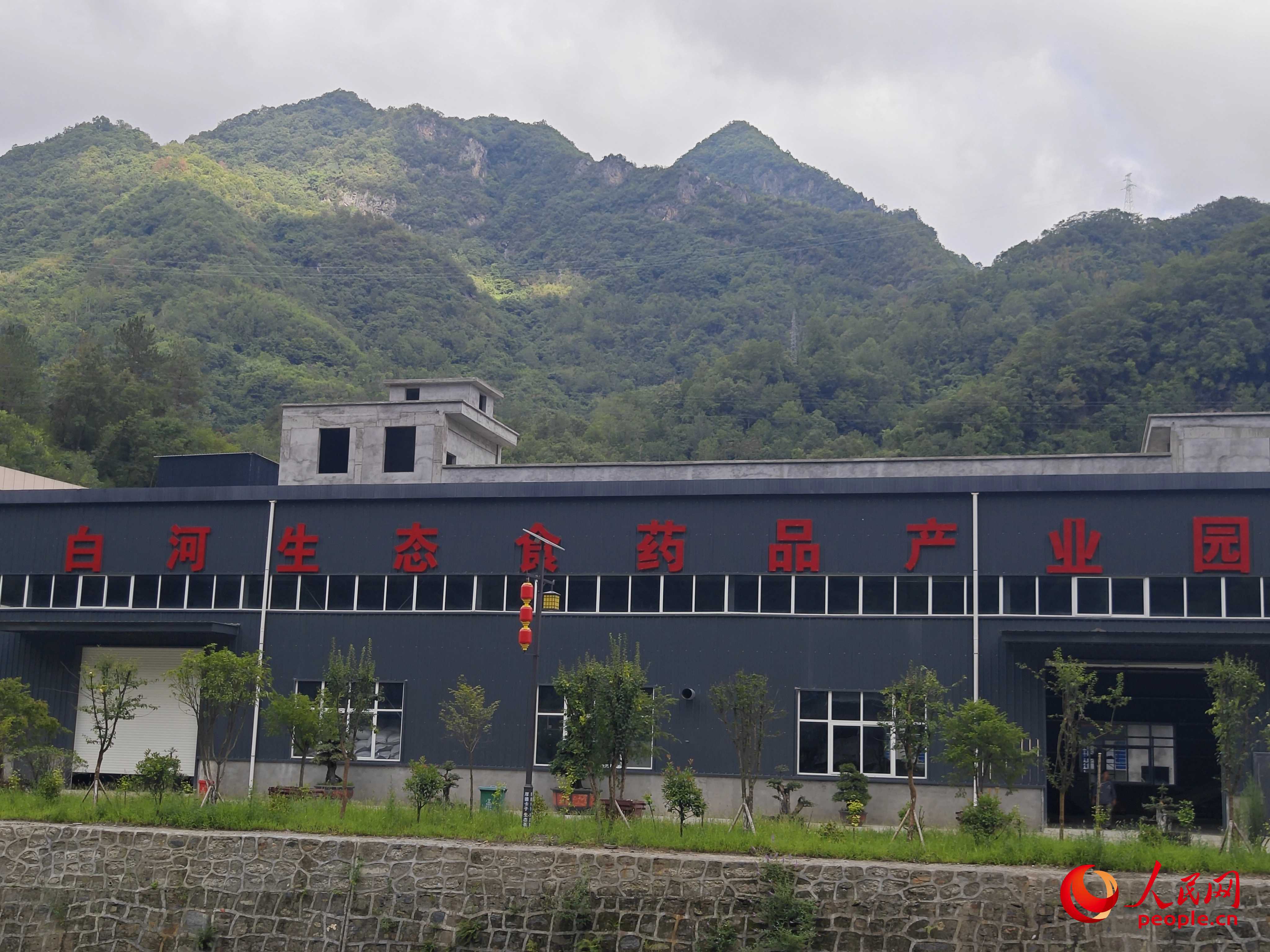 卡子鎮(zhèn)新建的社區(qū)工廠。人民網(wǎng)記者 黃鈺攝